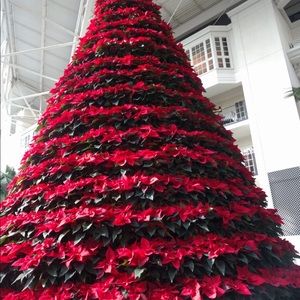 Meet your Posher, Dairilys